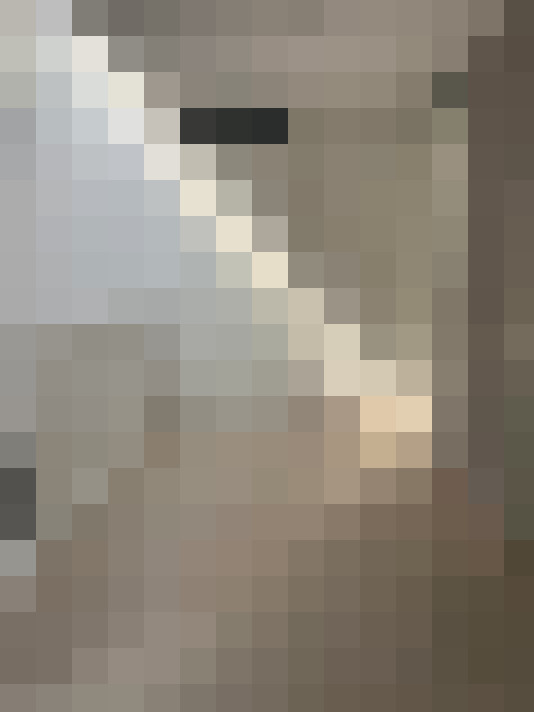  / #26