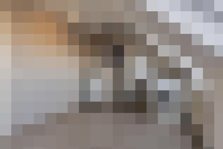  / #24