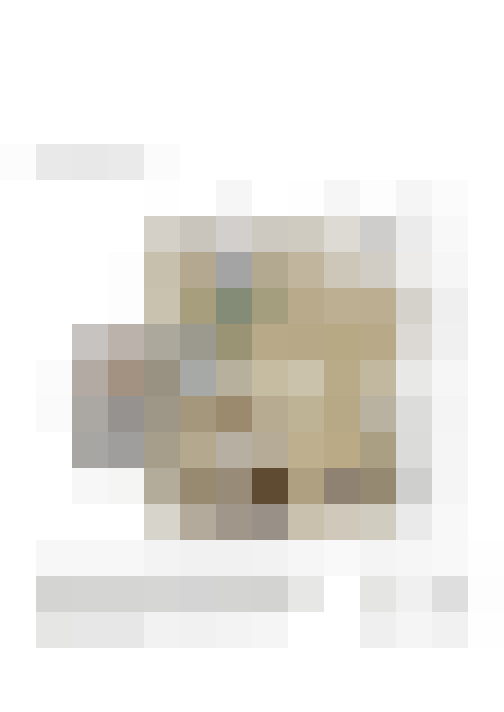  / #11