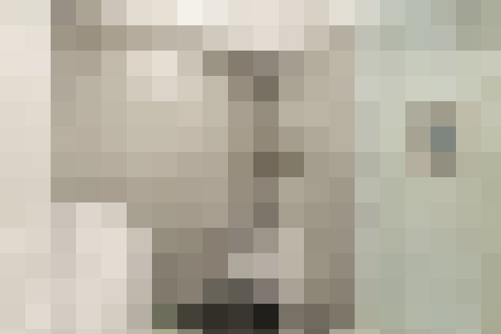  / #19