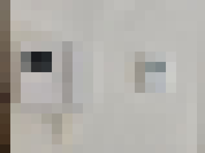  / #17