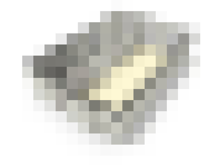  / #52