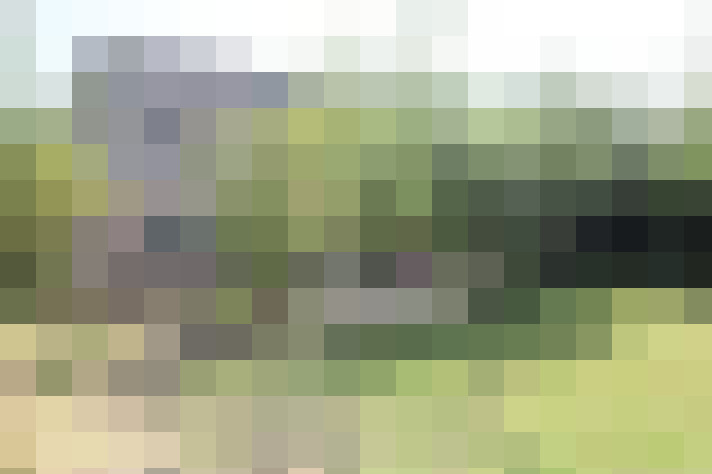  / #64