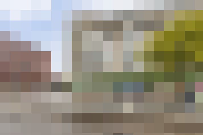  / #65