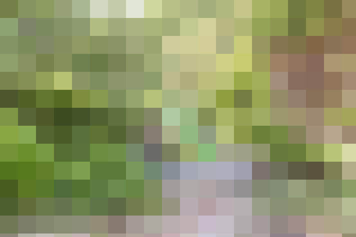  / #32