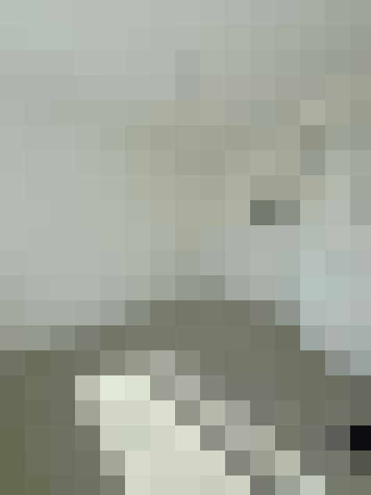  / #14