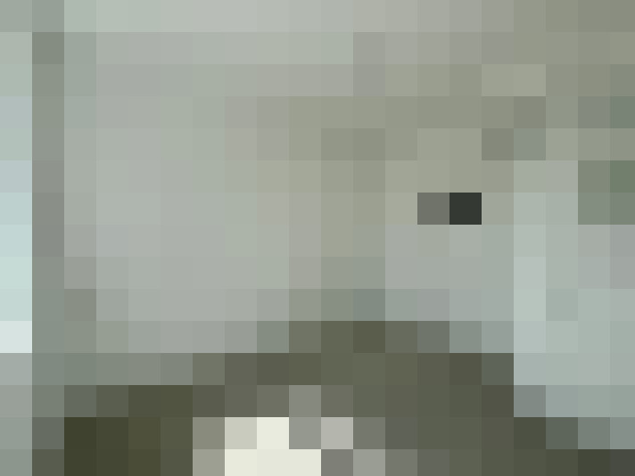  / #15