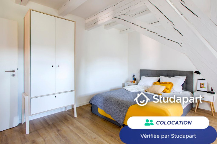 Voir la photo 1/10 du type room à Strasbourg