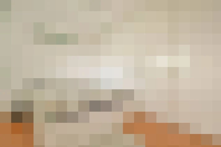  / #24