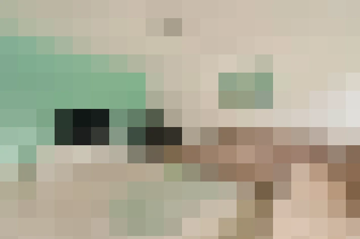  / #8