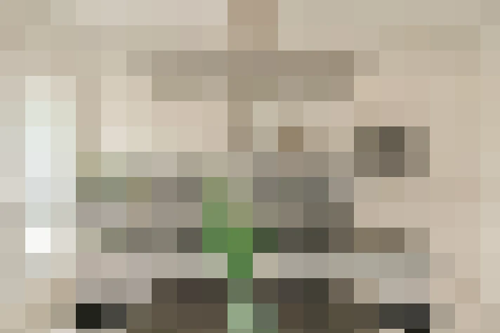  / #20
