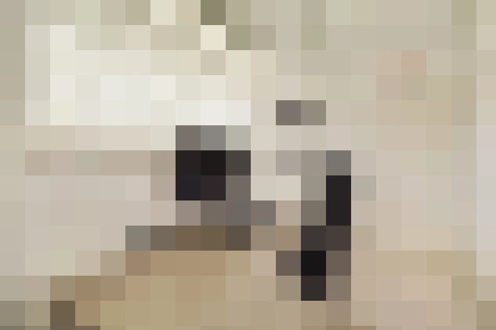  / #33