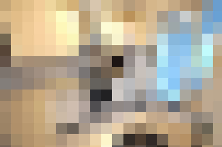  / #8