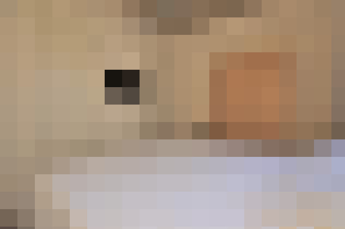  / #6