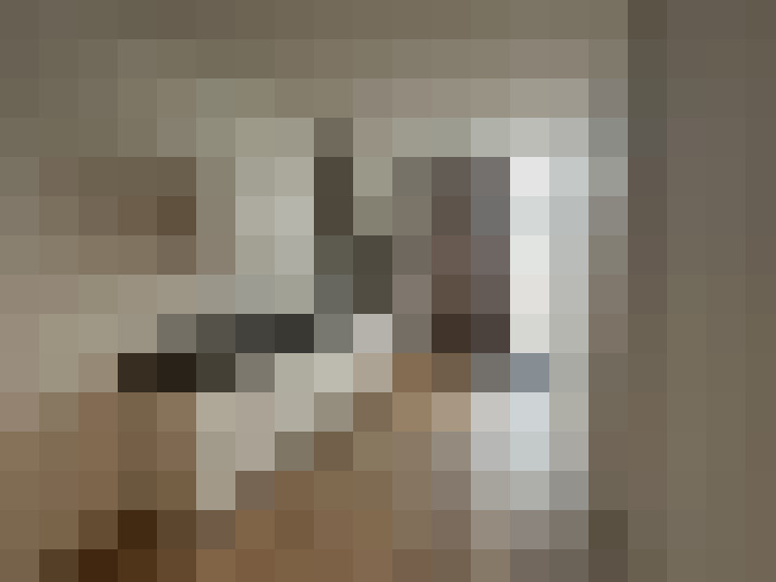  / #15