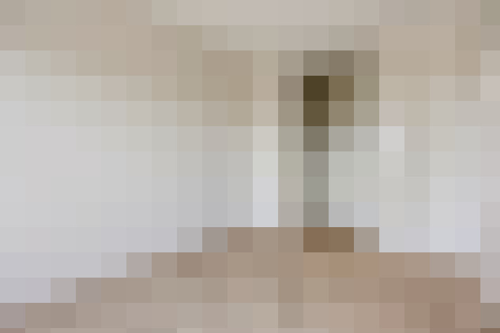  / #24