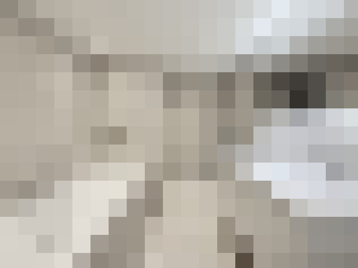  / #13