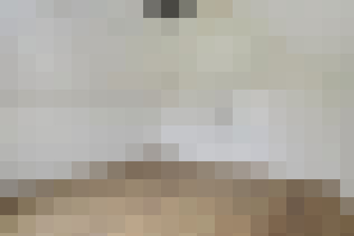  / #21