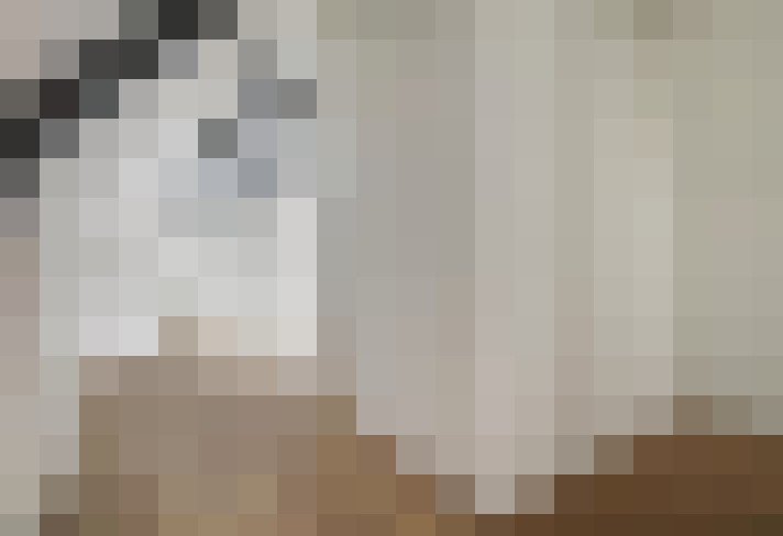  / #16