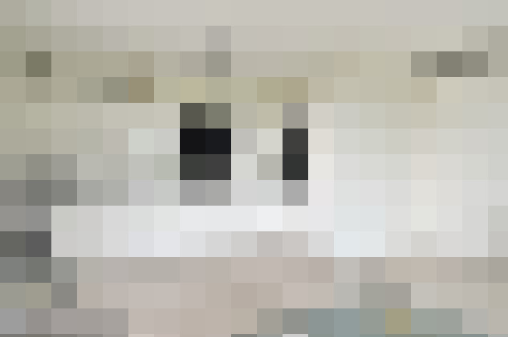  / #16
