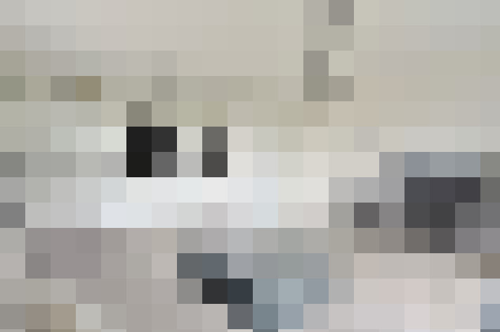  / #15