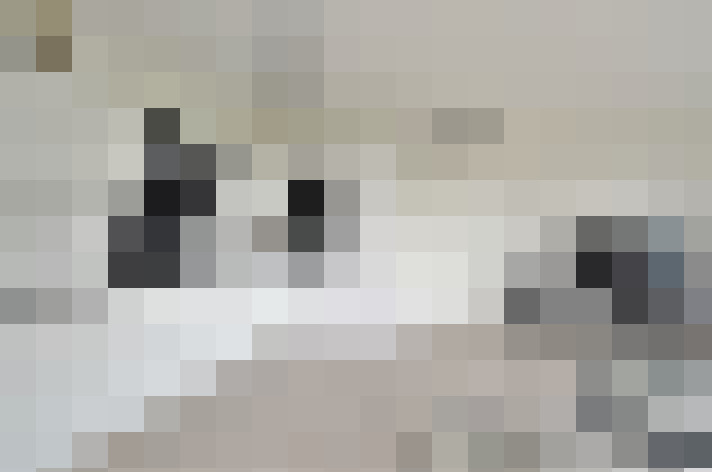  / #12