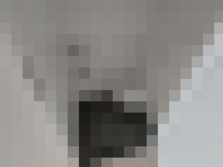  / #14