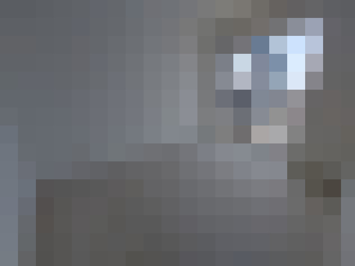  / #15
