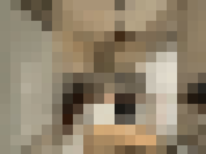  / #8
