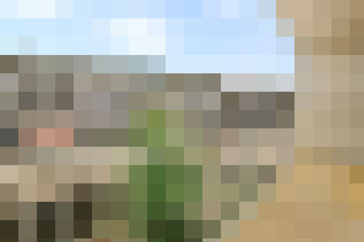  / #15