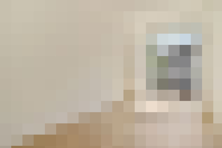  / #19