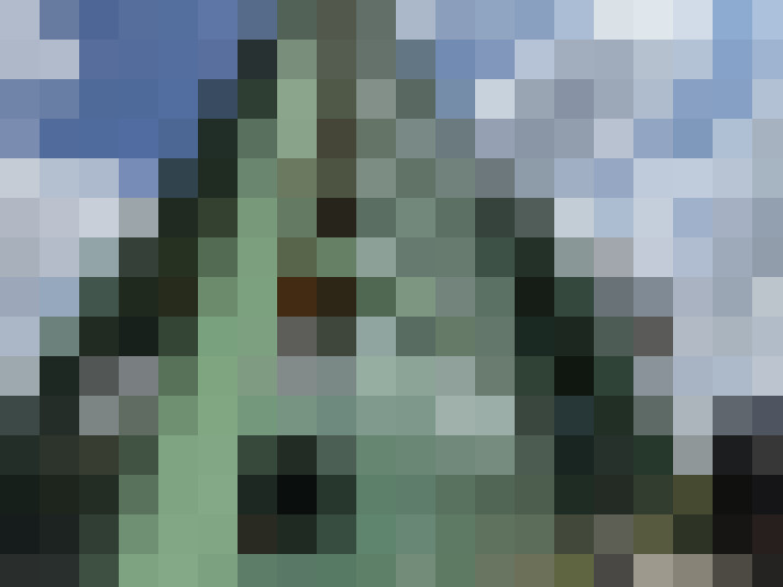  / #17