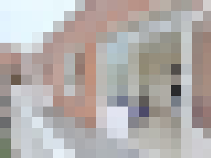  / #13