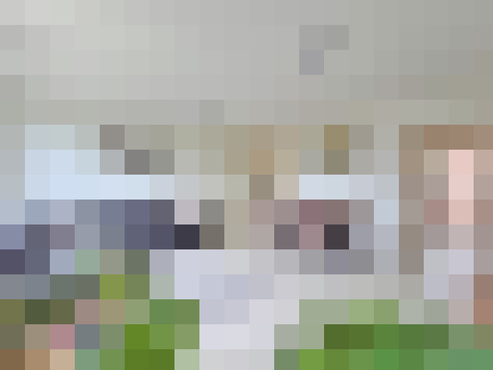  / #16