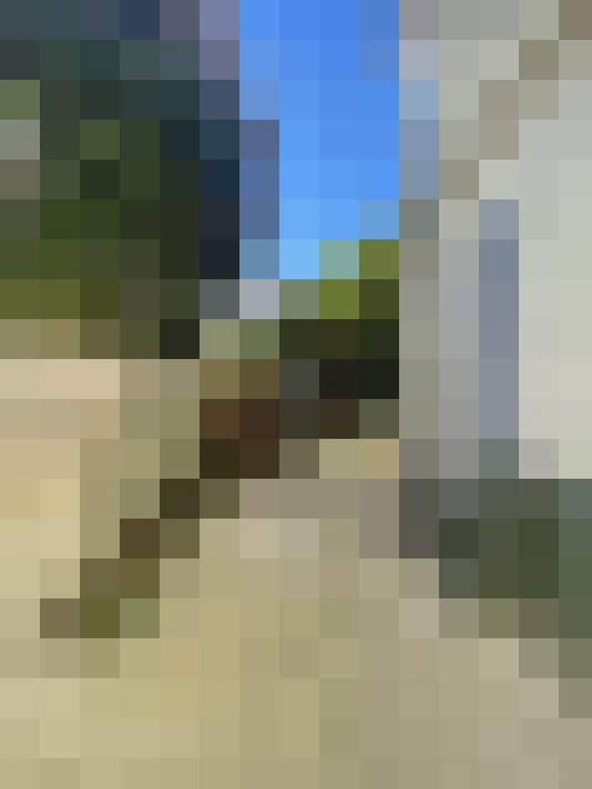  / #12
