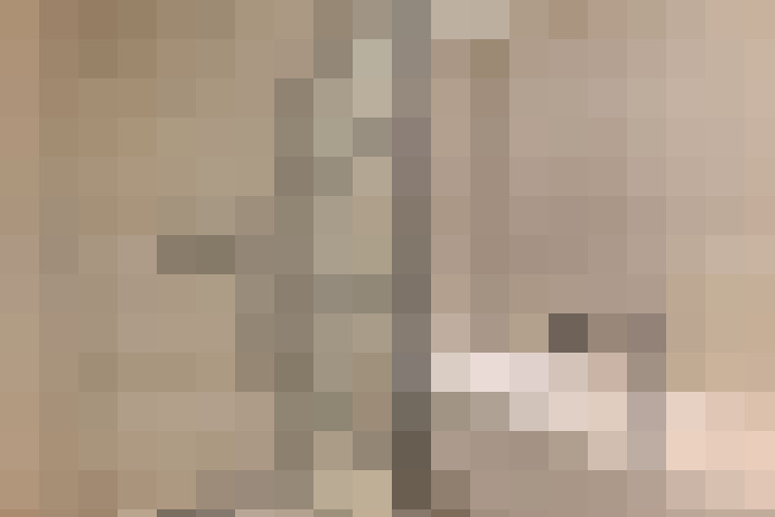  / #26