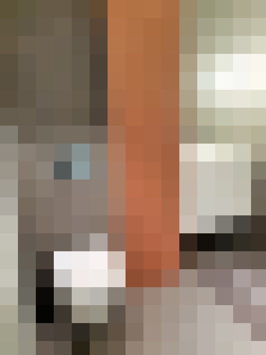  / #21