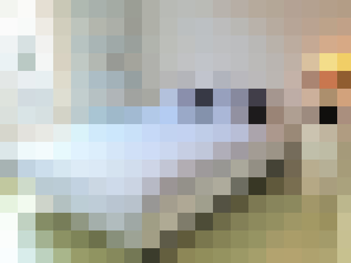  / #17
