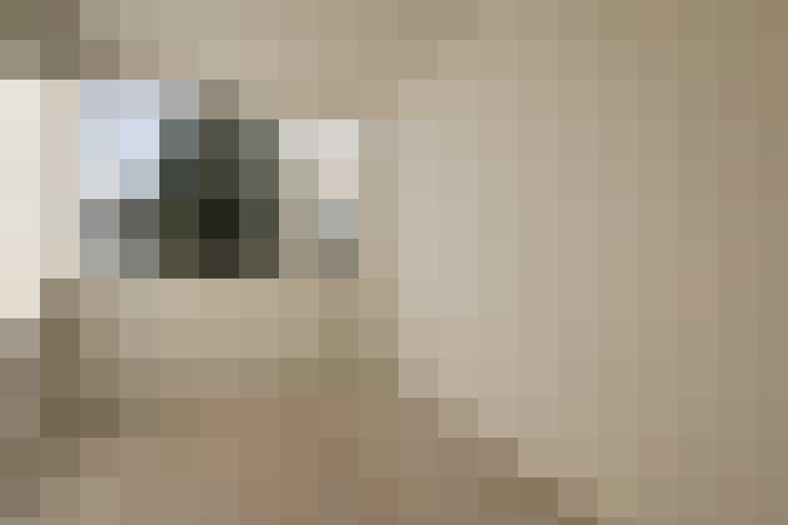  / #22