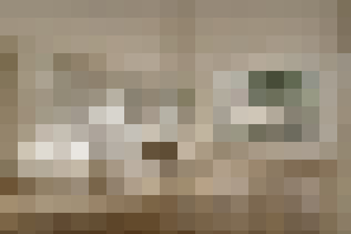  / #16