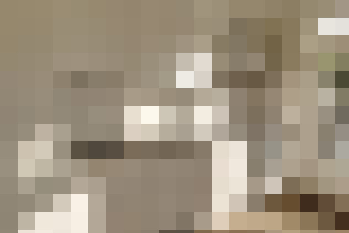  / #11