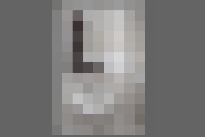 / #19