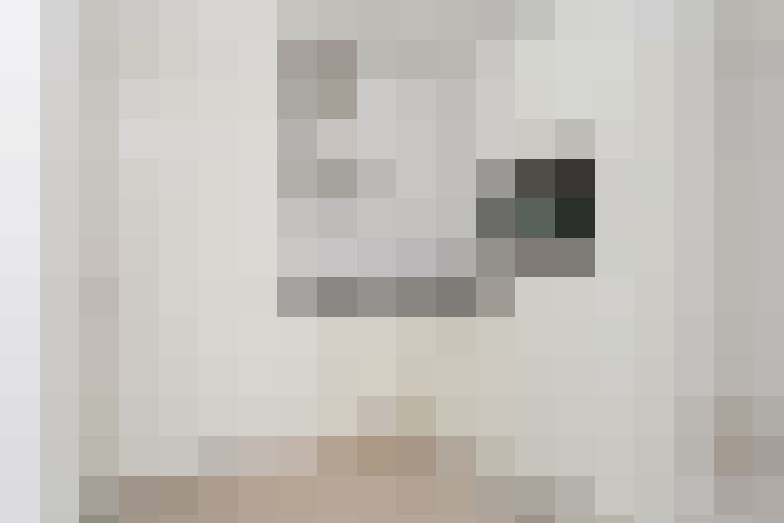  / #11