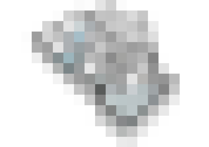  / #31