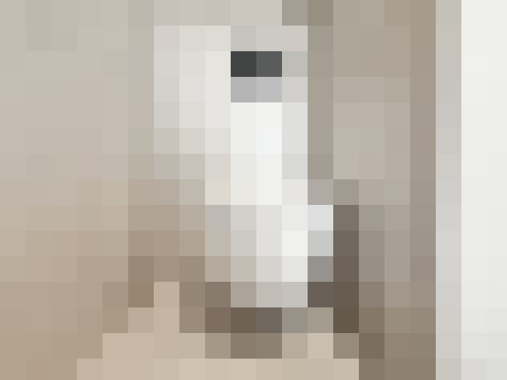  / #16