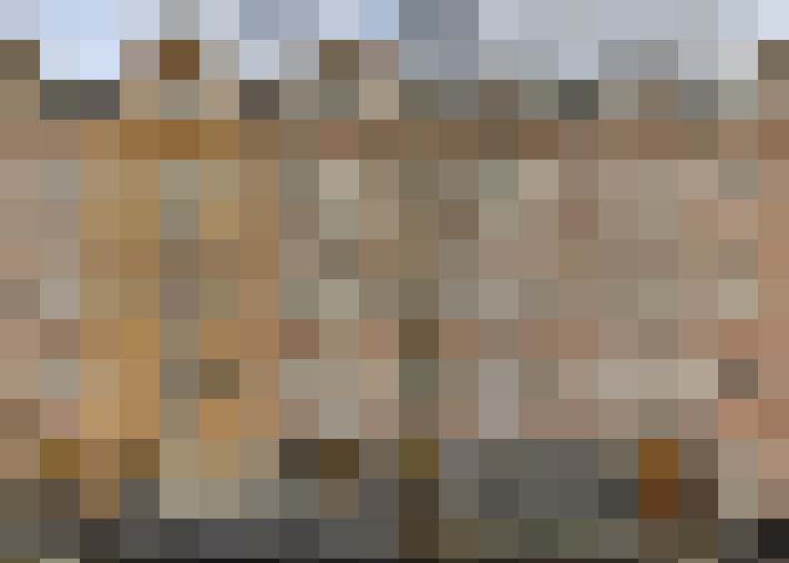  / #19