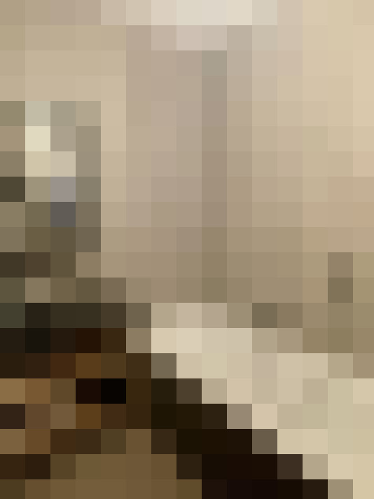  / #22