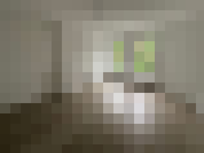  / #19