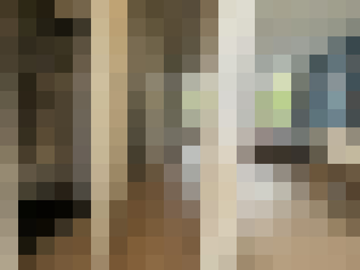  / #15