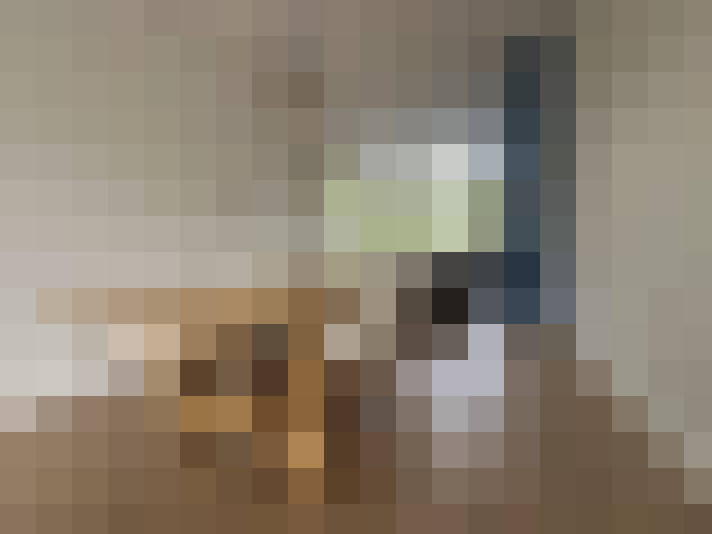  / #16